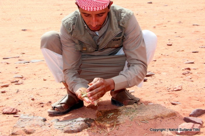 Our Bedouin friend is showing how they used to use plants to clean their hands in the old time - Wadi Rum, Jordan